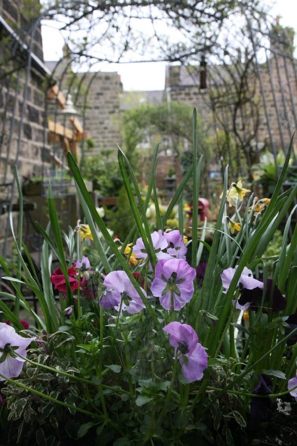 해러게이트 Alexandra Court B&B 외부 사진